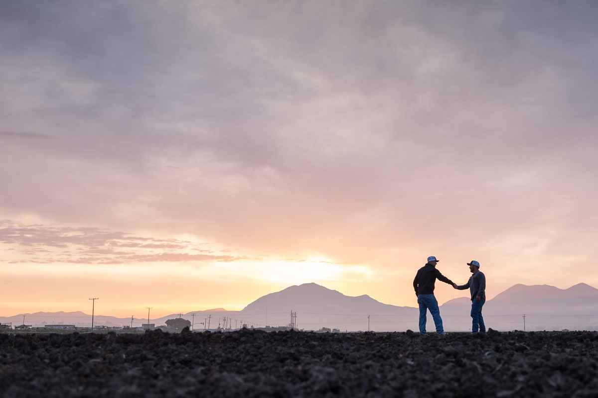 Farmers shaking hands at sunset
